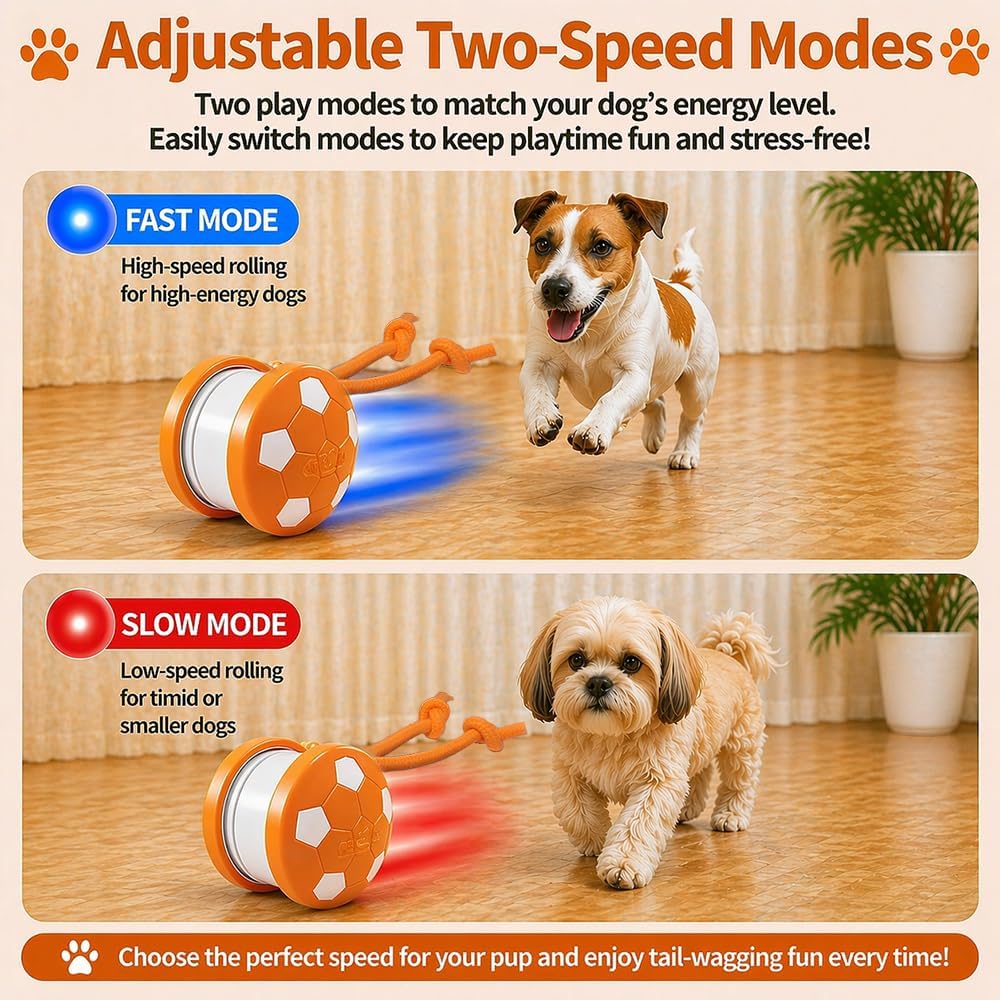 Interactive Squeaky Dog Ball Toy with Rope, Durable Football Design Pet Chew Toy for Fetch and Tug Play, Small & Medium Dogs